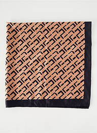Foulard  marron SANS MARQUE femme