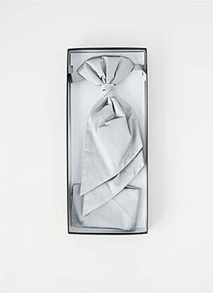 Cravate maintien élastique argent DIGEL homme