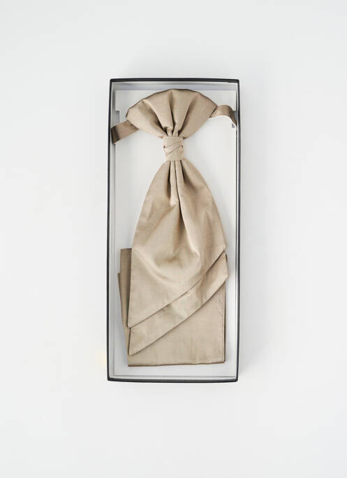 Cravate beige DIGEL homme