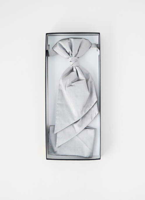 Cravate argent DIGEL homme