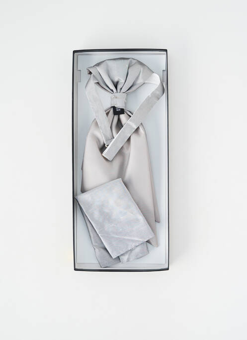 Cravate argent DIGEL homme