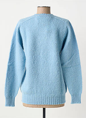 Pull coupe droite manches longues bleu HOWLIN femme