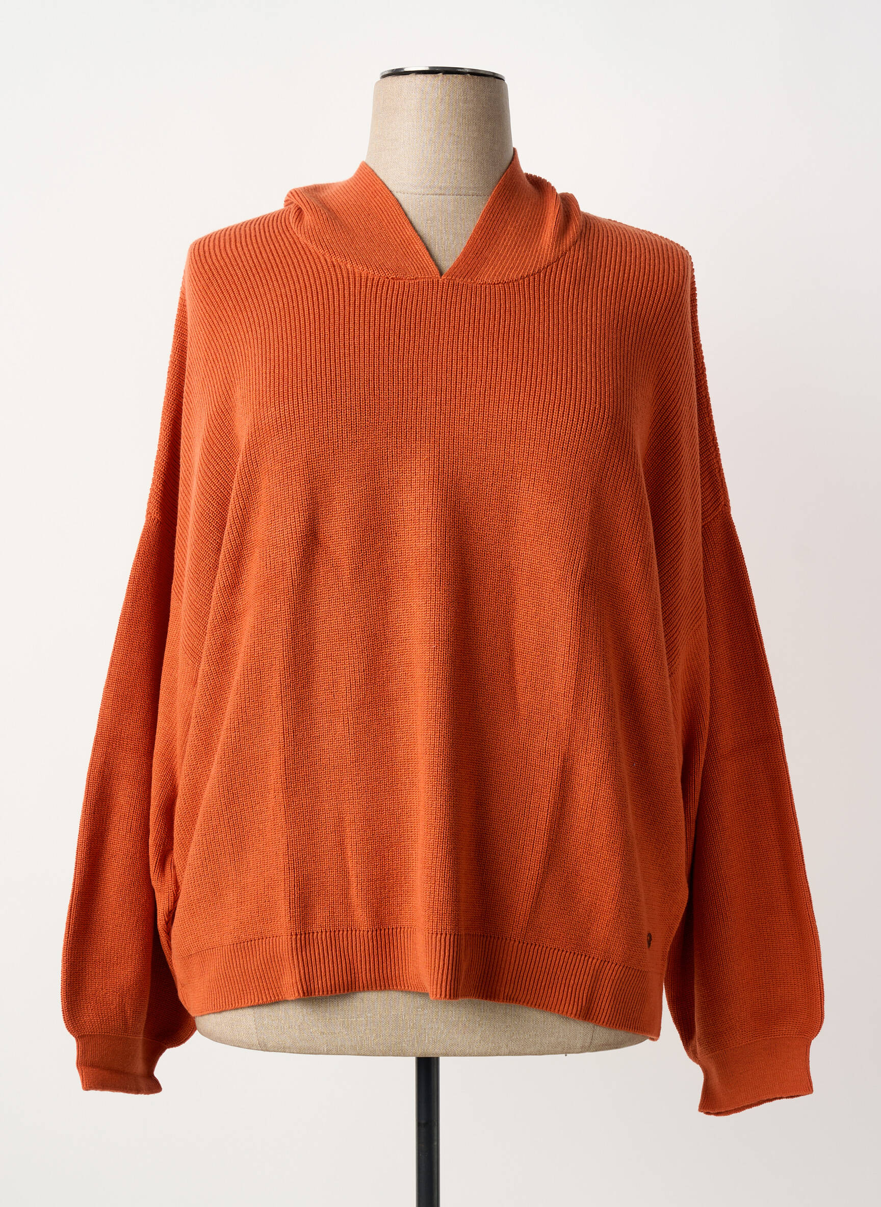Sweat-shirt manches longues manches longues orange SHEEGO femme