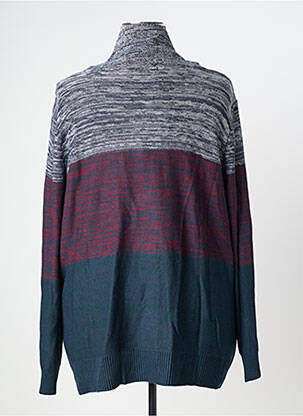 Pull stretch manches longues bleu SHEEGO femme