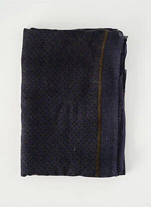 Foulard imprimé fantaisie bleu DELAHAYE femme