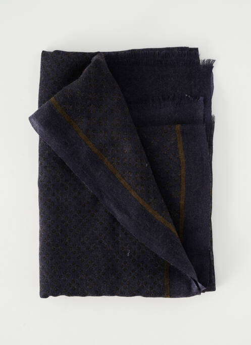 Foulard bleu DELAHAYE femme