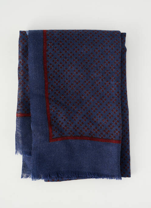 Foulard bleu clair DELAHAYE femme