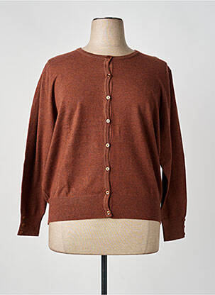 Gilet manches longues col rond marron MICHA femme