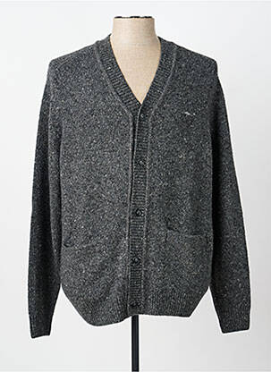 Gilet manches longues col v gris FYNCH-HATTON homme