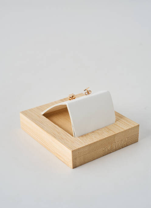 Boucles d’oreilles matériaux plaqué or or TATA GISELE femme