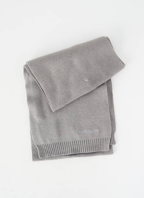 Echarpe stretch gris LE COQ SPORTIF garcon