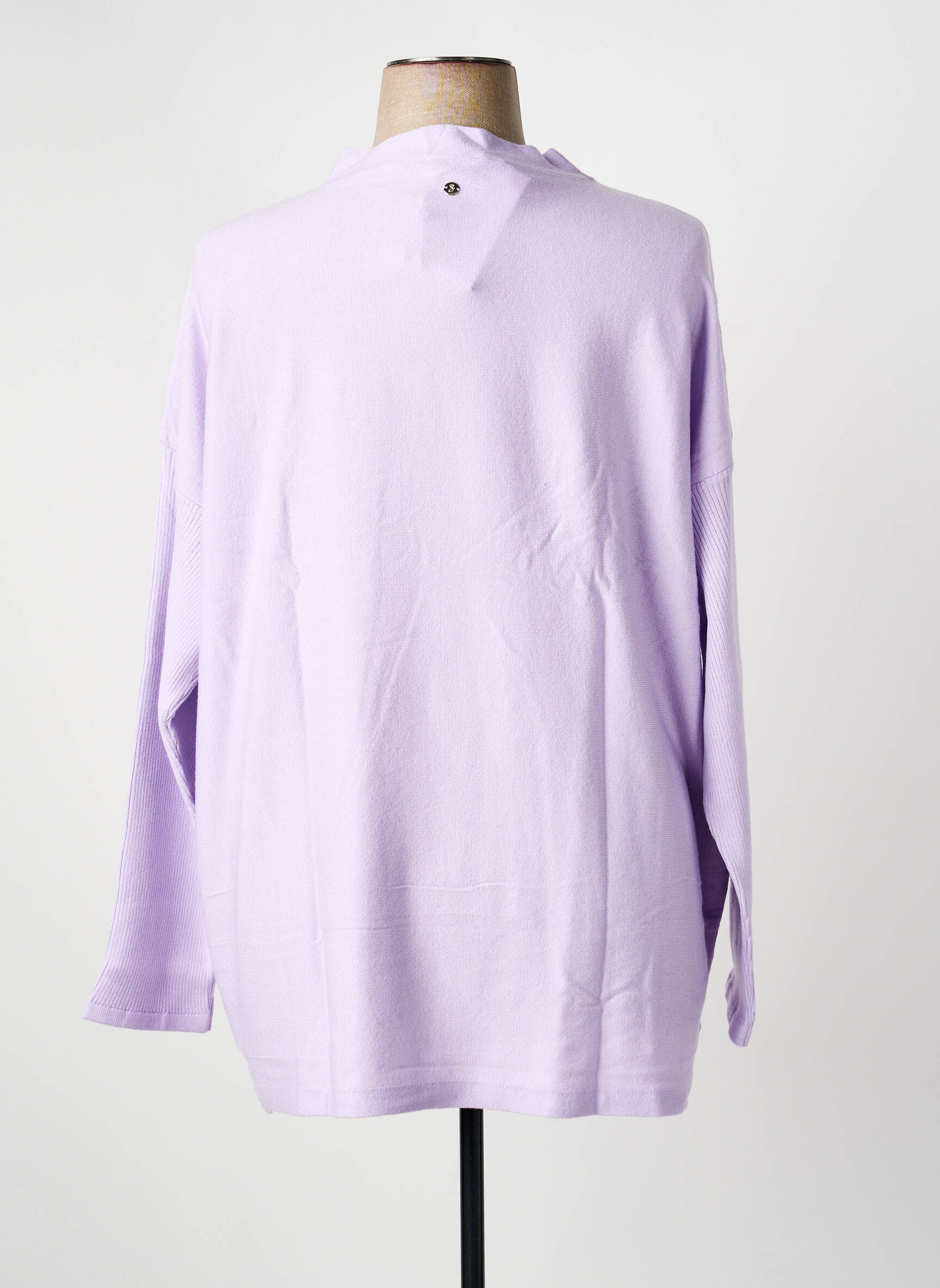 Pull coupe droite manches longues violet SHEEGO femme