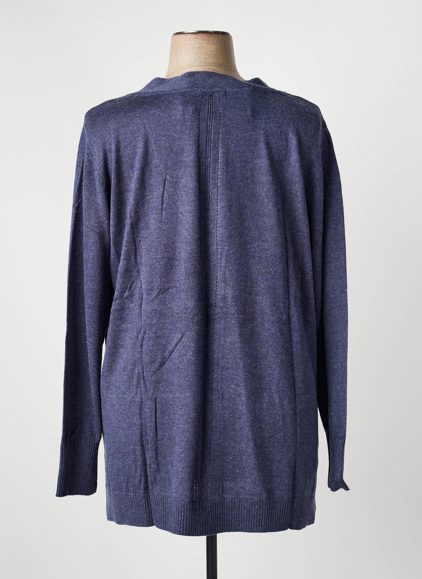 Gilet manches longues fermeture boutonnée sur le devant bleu SHEEGO femme