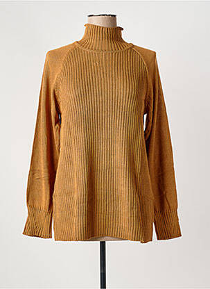 Pull coupe cintrée manches longues marron SHEEGO femme