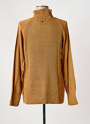 Pull coupe cintrée manches longues marron SHEEGO femme