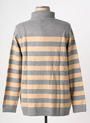 Pull col roulé tissage chiné manches longues gris SHEEGO femme