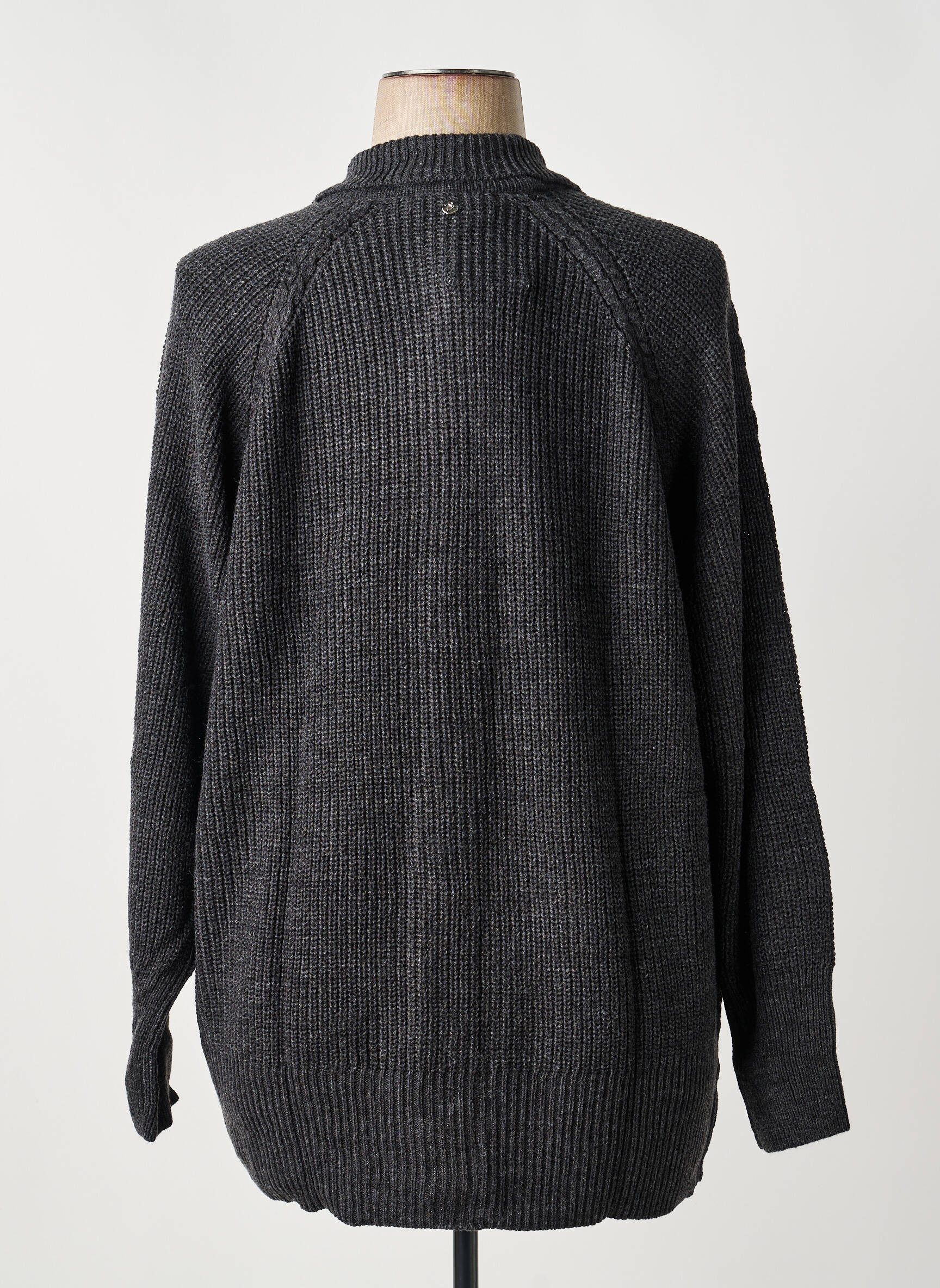 Gilet manches longues stretch gris SHEEGO femme