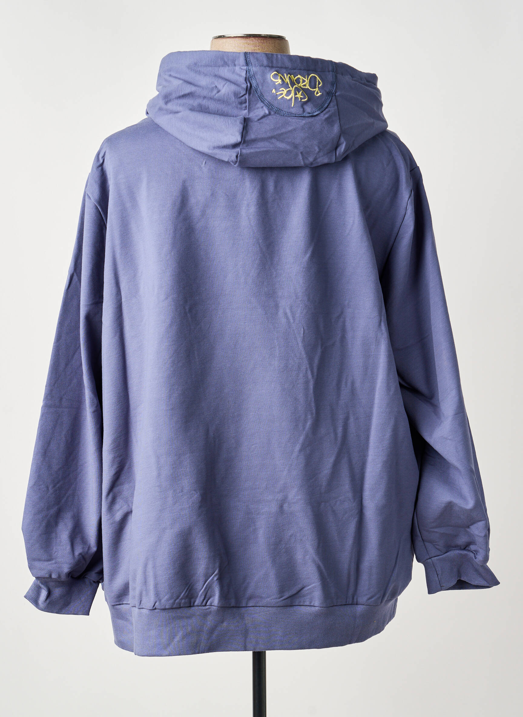 Sweat-shirt à capuche broderie manches longues bleu SHEEGO femme