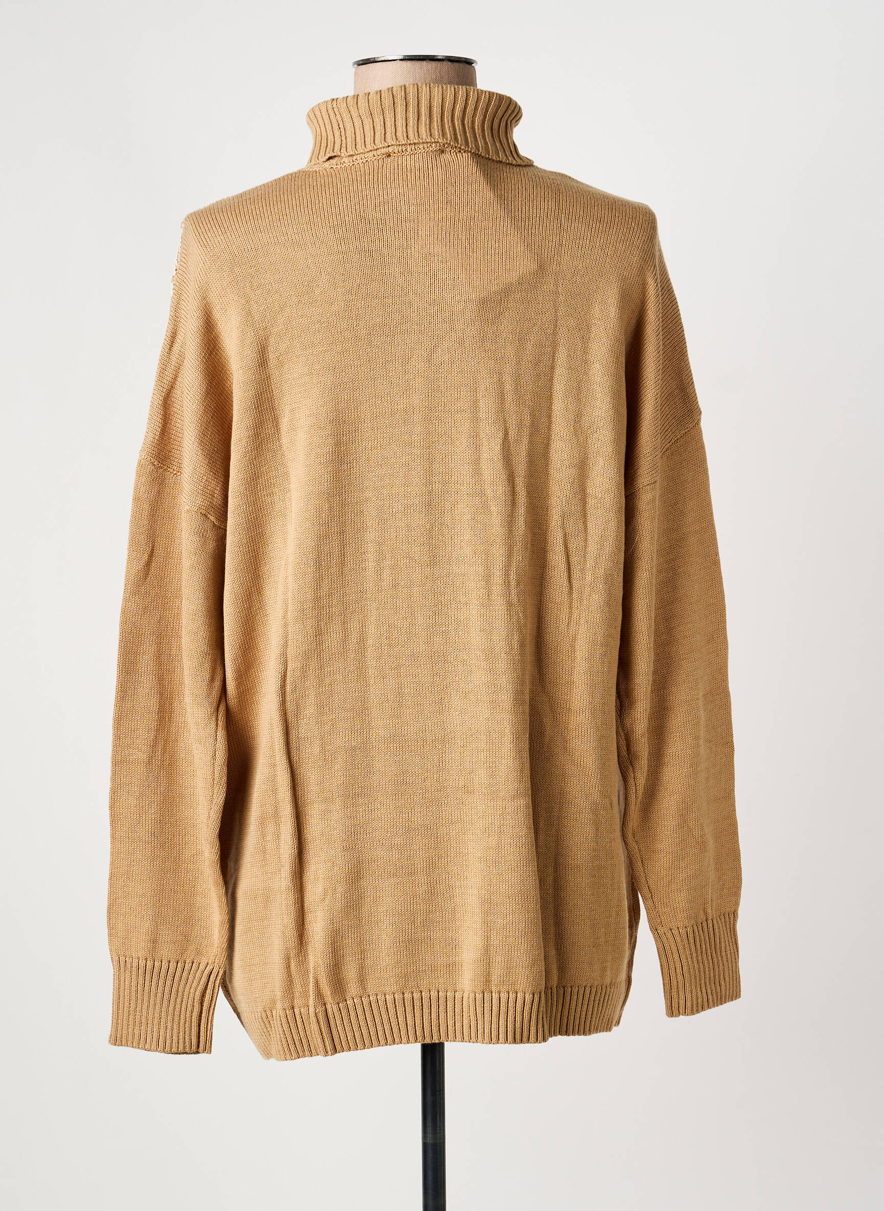 Pull col roulé coupe cintrée manches longues beige SHEEGO femme