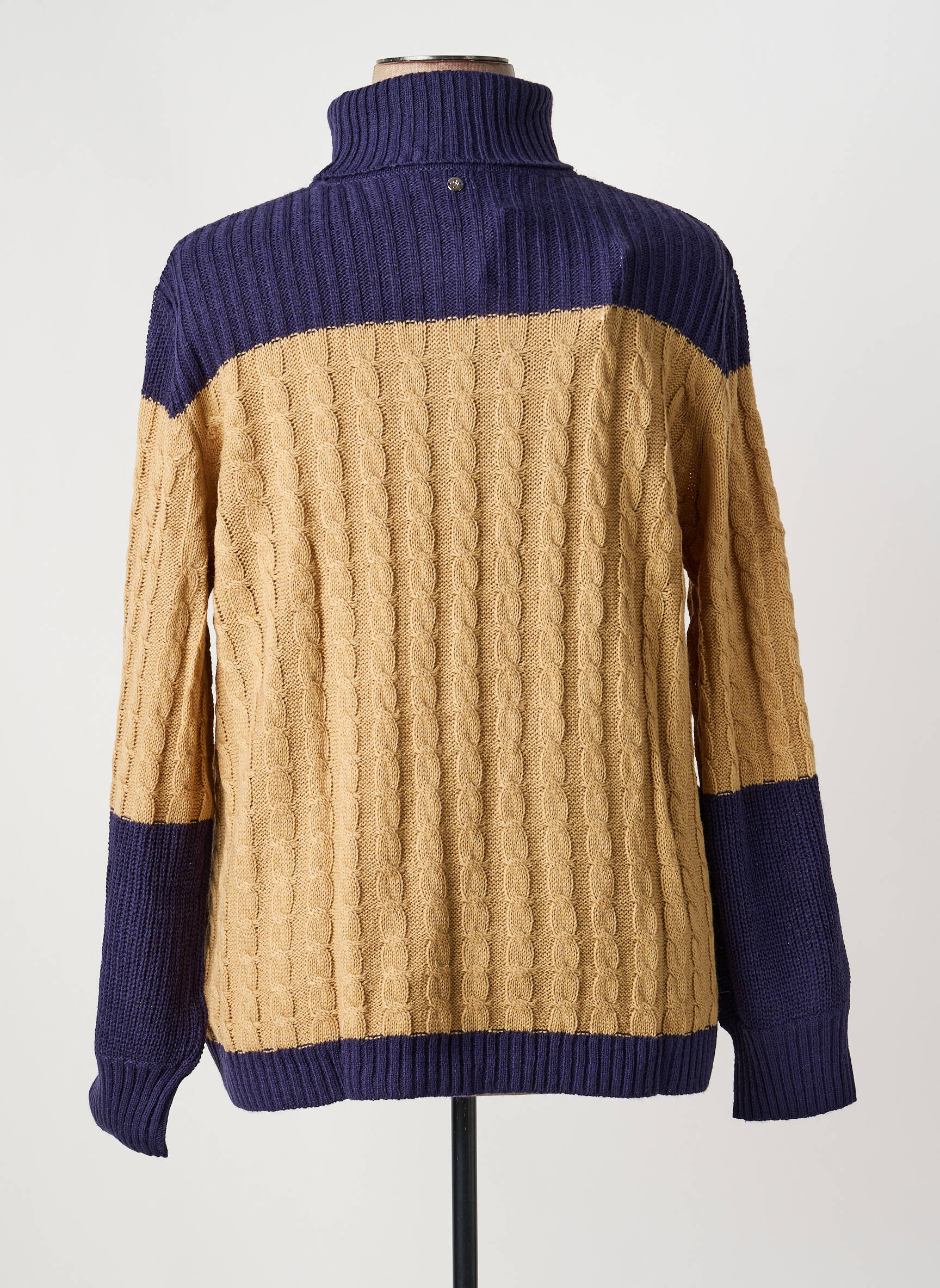 Pull col roulé coupe cintrée manches longues bleu SHEEGO femme