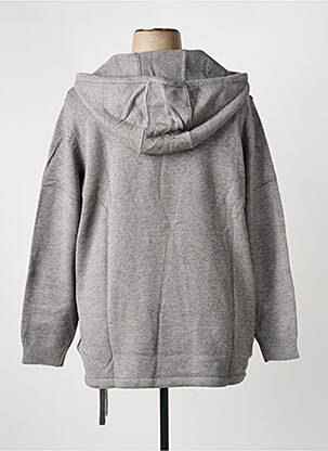 Pull tissage chiné manches longues gris SHEEGO femme