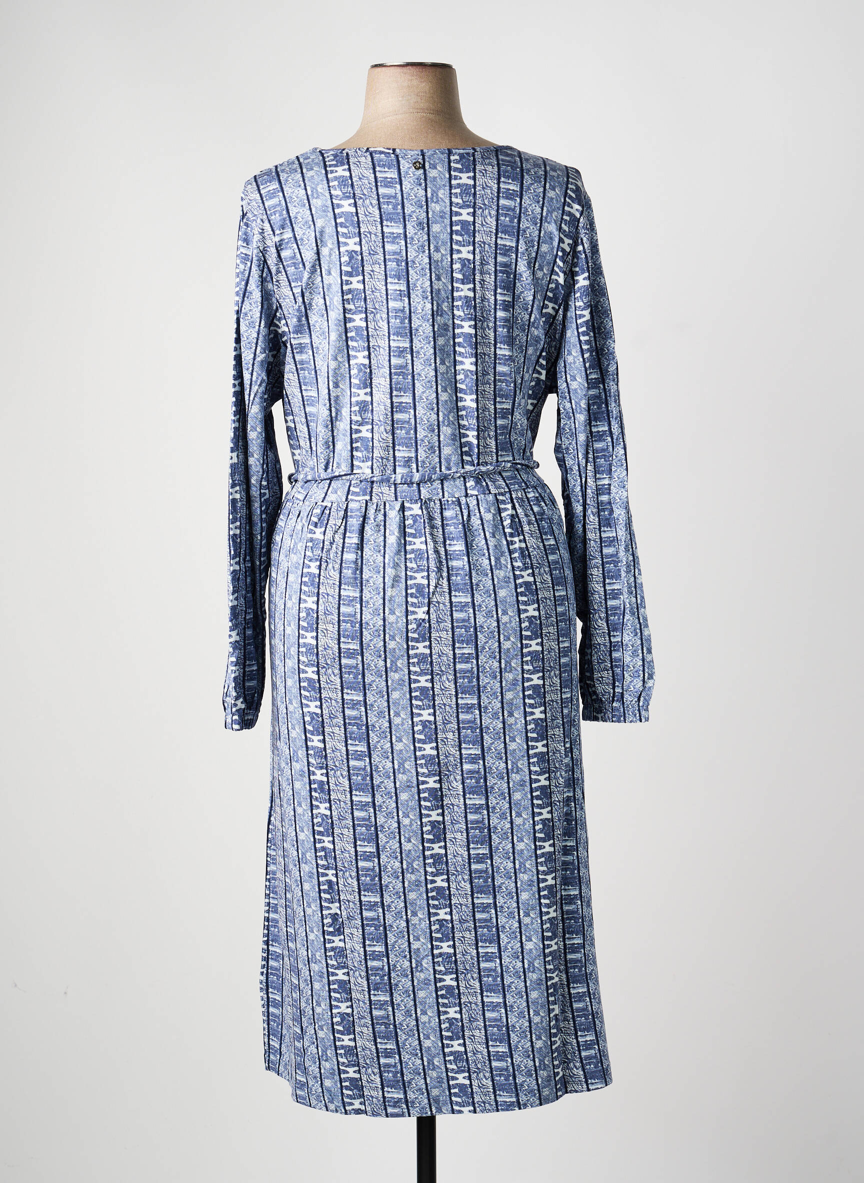 Robe longue imprimé fantaisie manches longues bleu SHEEGO femme