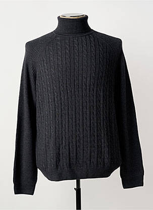 Pull col roulé maille tricot manches longues gris ROY ROBSON homme