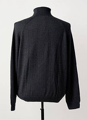 Pull col roulé maille tricot manches longues gris ROY ROBSON homme