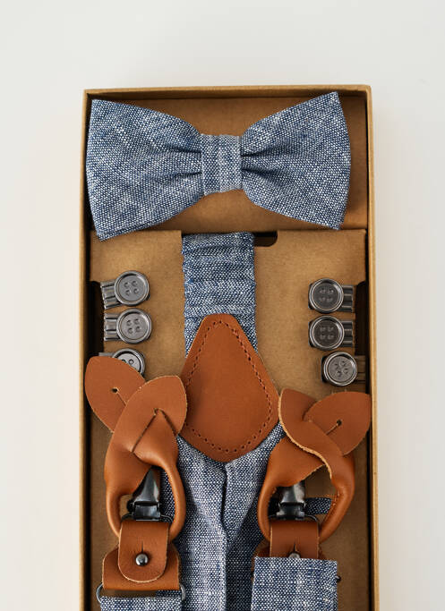 Noeud papillon maintien élastique bleu ROY ROBSON homme