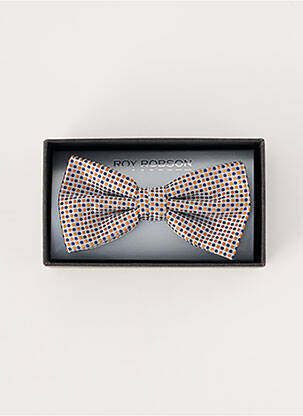 Noeud papillon imprimé fantaisie marron ROY ROBSON homme