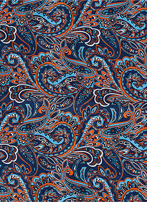 Accessoire divers imprimé fantaisie bleu ROY ROBSON homme
