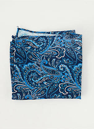 Accessoire divers imprimé fantaisie bleu ROY ROBSON homme