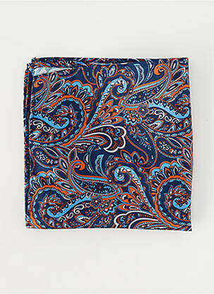 Accessoire divers imprimé fantaisie bleu ROY ROBSON homme