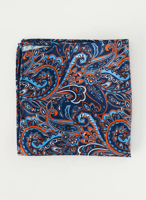 Accessoire divers imprimé fantaisie bleu ROY ROBSON homme