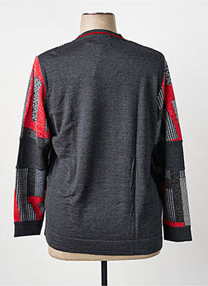 Pull coupe cintrée manches longues gris GUY DUBOUIS femme
