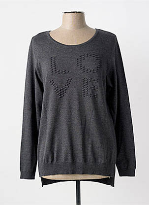 Pull coupe droite manches longues gris APRICO femme