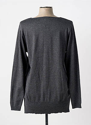 Pull coupe droite manches longues gris APRICO femme