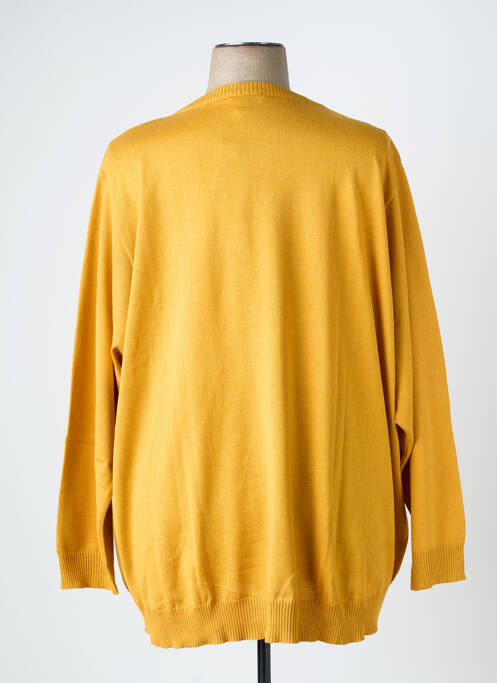 Pull col rond manches longues jaune KJBRAND femme