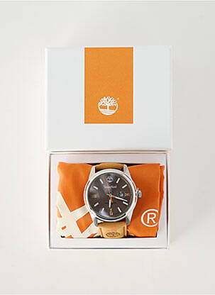 Montre matériaux cuir marron TIMBERLAND homme