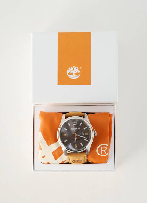 Montre matériaux cuir marron TIMBERLAND homme