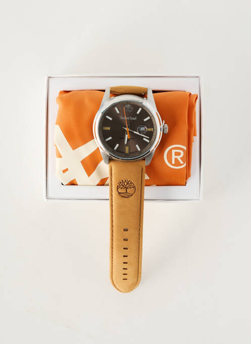 Montre matériaux cuir marron TIMBERLAND homme