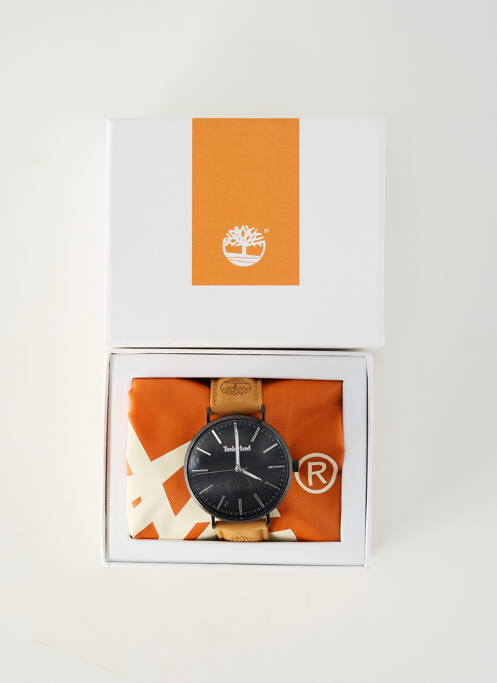 Montre matériaux cuir marron TIMBERLAND homme