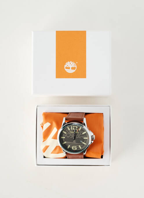 Montre matériaux cuir marron TIMBERLAND homme