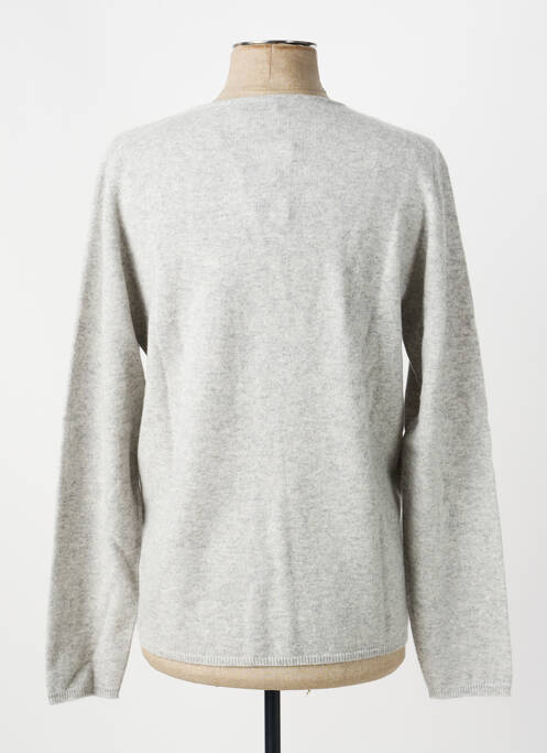 Pull col v manches longues gris ESTHEME homme