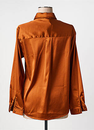 Chemisier coupe droite manches longues marron AKOZ femme