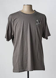 T-shirt stretch manches courtes gris IRON AND RESIN homme