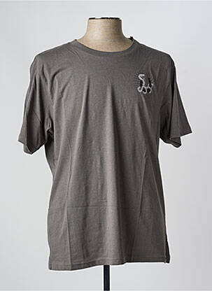 T-shirt stretch manches courtes gris IRON AND RESIN homme