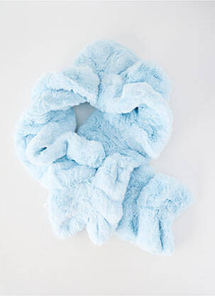 Echarpe bleu ALEX.MAX femme