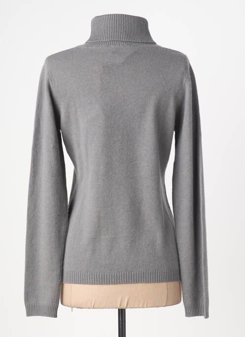 Pull col roulé coupe cintrée manches longues gris ABSOLUT CASHMERE femme