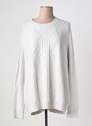 Pull coupe droite manches longues gris CECIL femme